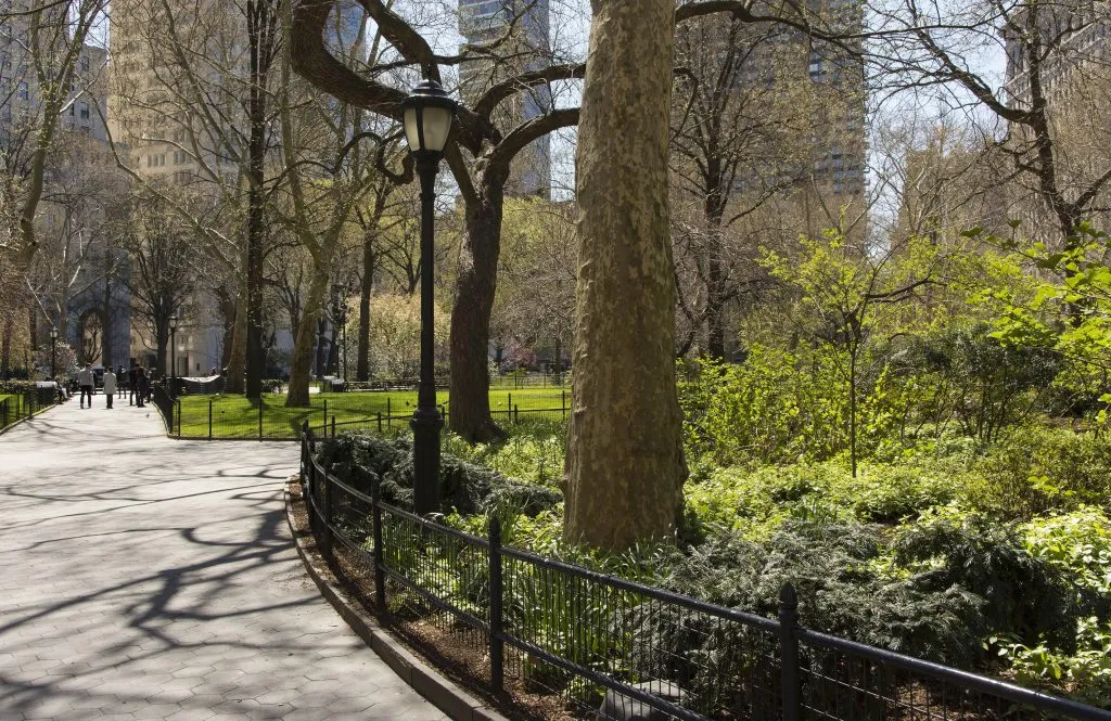 jak duzy jest central park
