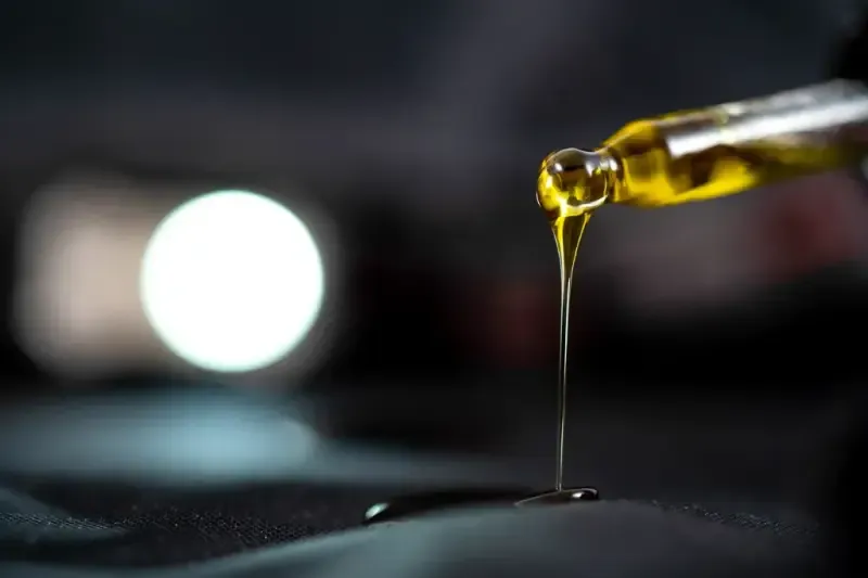 cbd a turystyka