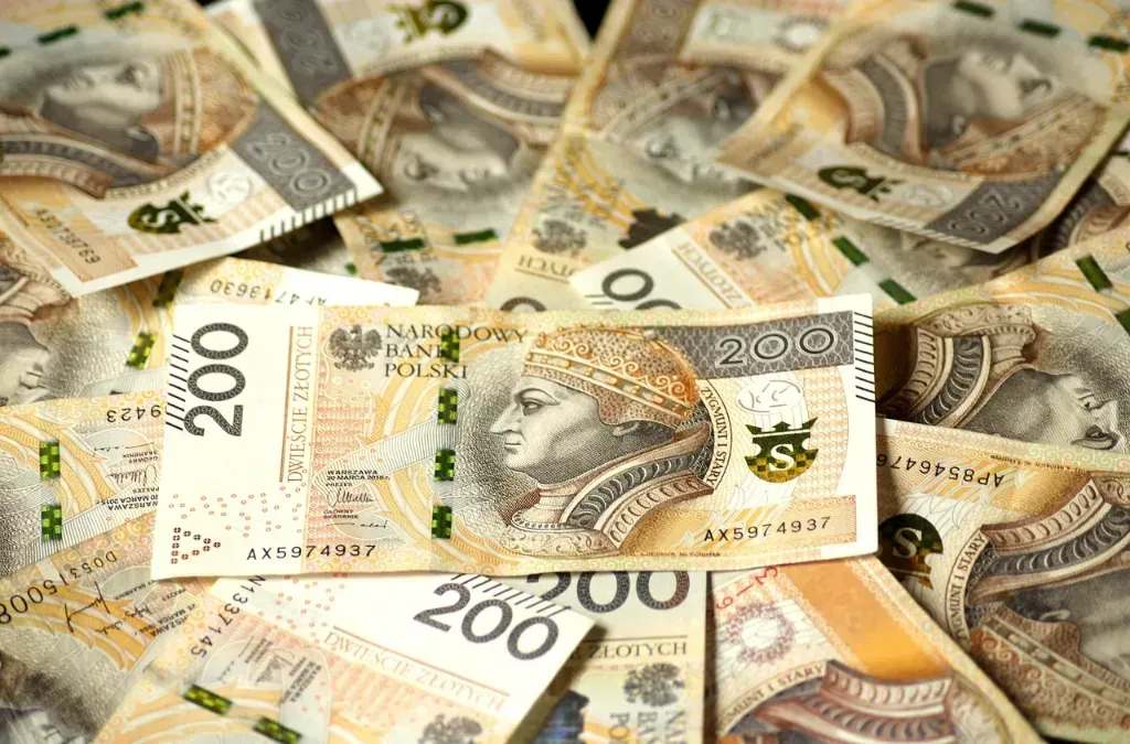 Jakie dane są potrzebne do złożenia wniosku o chwilówkę online