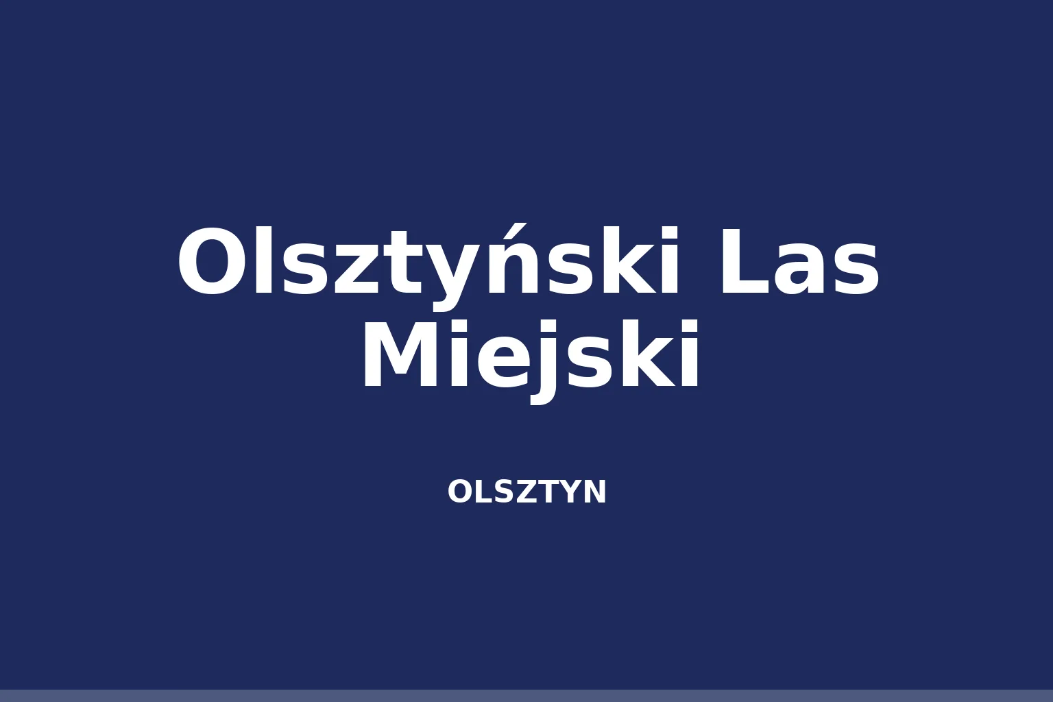 Olsztyński Las Miejski