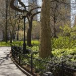 jak duzy jest central park